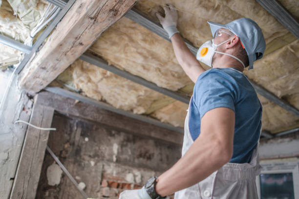 Best Eco-Friendly Insulation in Homestead, FL